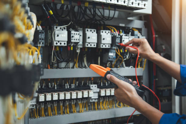 Best Electric Panel Repair  in Lake Erie Beach, NY