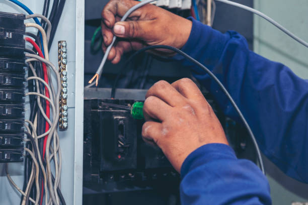 Best Local Electrician Companies  in Lake Erie Beach, NY